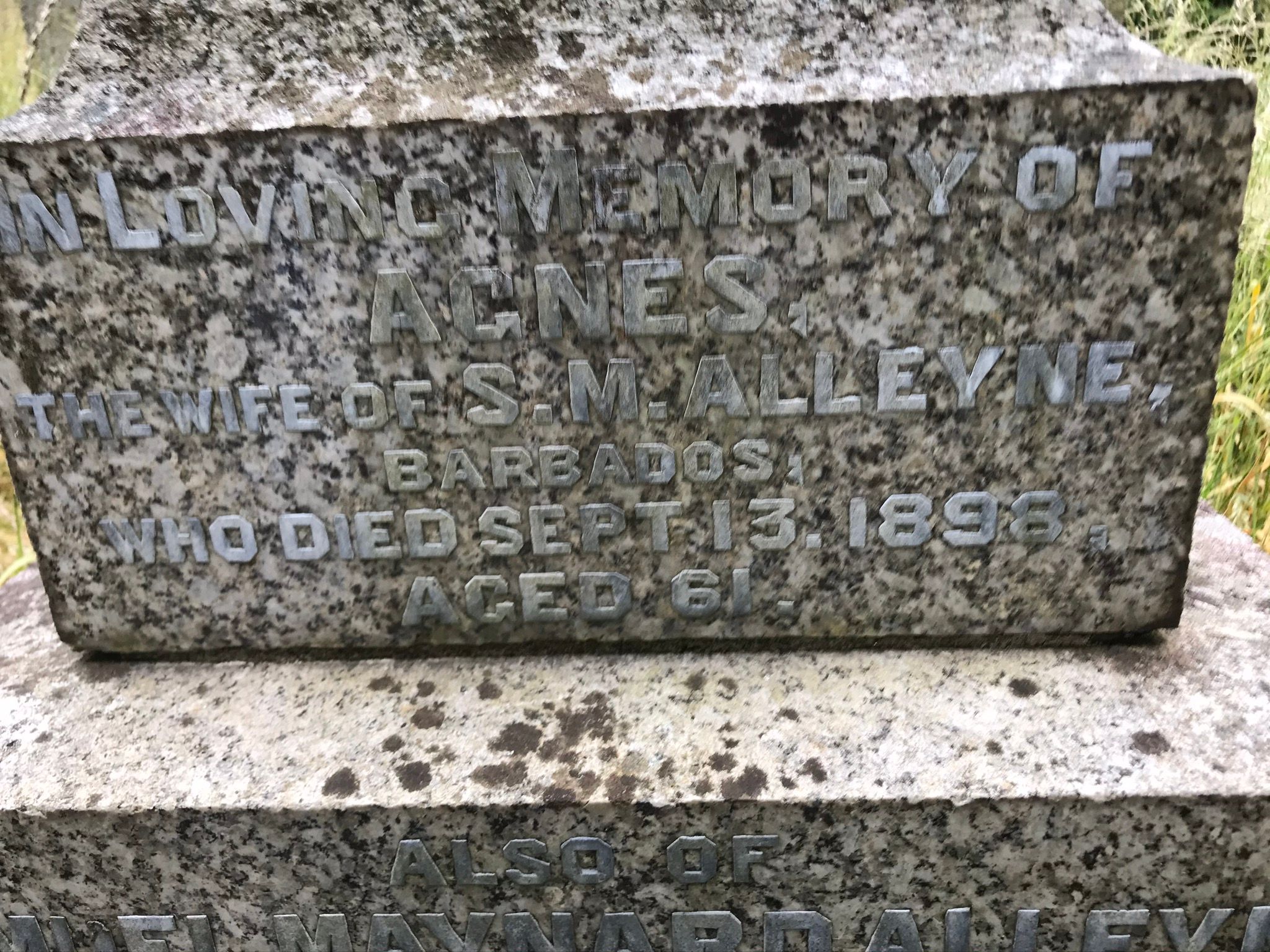 Agnes (Wetherman) Alleyne grave